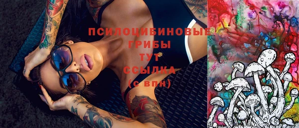 мдма Каменка