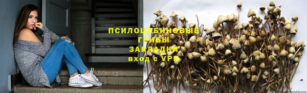 твердый Касимов
